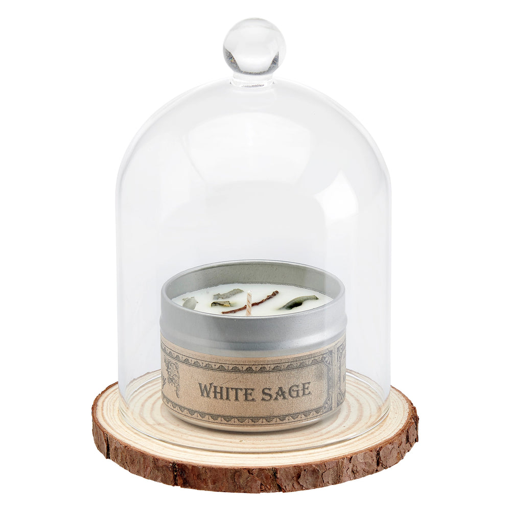 Cloche Bell Jar Display Set - Choose A Scent