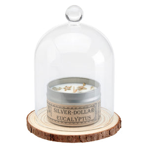 Cloche Bell Jar Display Set - Choose A Scent