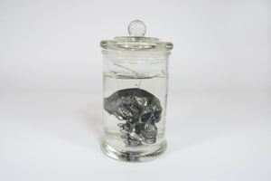 Skull in Jar Candle: Black / Scent: Mint + Fern