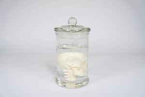 Halloween Decorate Candle Skull In Jar Candle: White / Scent: Mint + Fern