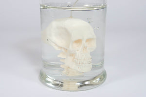 Halloween Decorate Candle Skull In Jar Candle: White / Scent: Mint + Fern