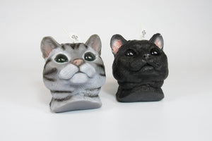 American Shorthair cat candle Air Fresheners Home Fragrance decor cat person gifts
