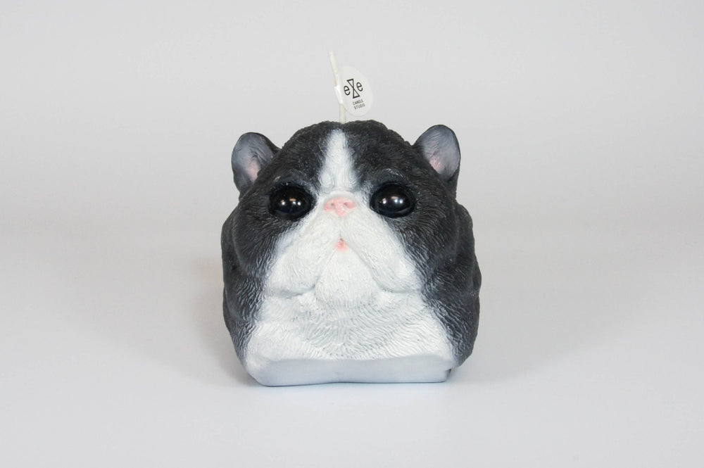 Exotic Short Hair Candle: Grey Air Fresheners Home Fragrance decor gifts cat person