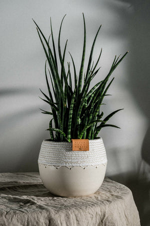 Atelier Martin Ceramic Ibiza Cocoon