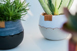 Atelier Martin Ceramic Ibiza Cocoon